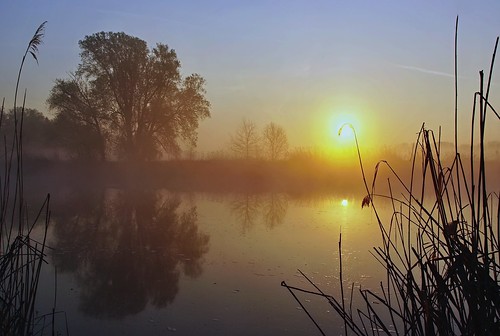 voda slunce rybník svítání