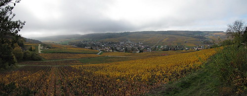 panorama france wet public landscape vineyard champagne nopeople creativecommons fra vak lacduder champagneardenne grauves noboddy cc0 coeluc vak201511lacduderwet
