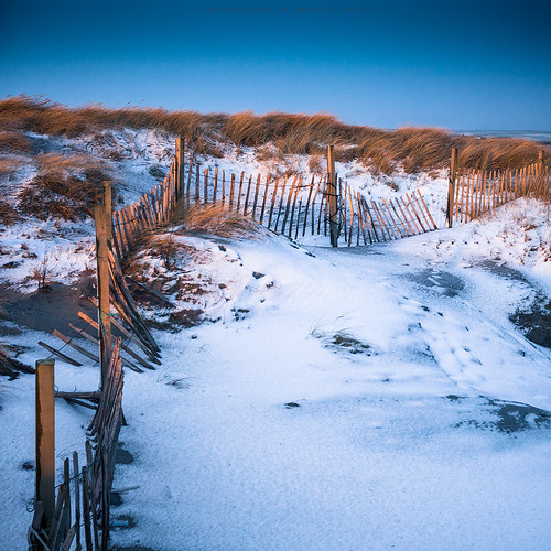 wood uk morning winter snow nature beautiful rural sunrise fence landscape island coast scotland countryside wooden lowlight sand orkney colours outdoor snowy dunes country january shore land dreamy mainland gentle dreamscape firstlight 2016 toab dingieshowe