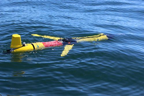 WHaLE ocean glider in the water