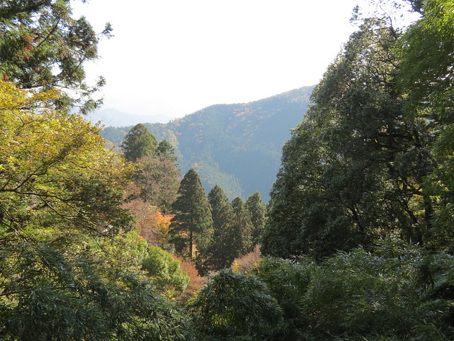 Hiking from Kurama to Kibune