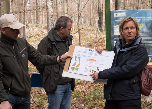 Slovenia Forest Service Workshop 5.4.2016