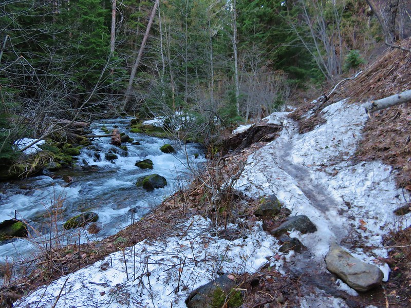 Tamanawas Falls Trail and Cold Spring Creek