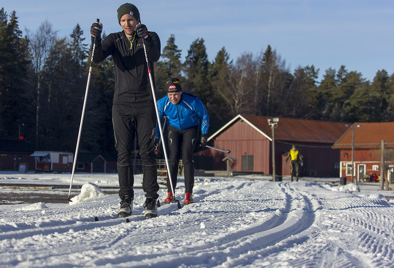 Cross-Country Skiers