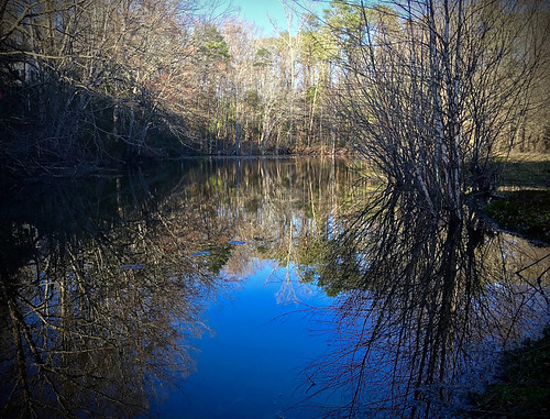 blue trees sunset sky lake reflection nature water landscape backyard forrest greenville gnomes greenvillesc project365 500px folkloristic project366 ifttt yeahthatgreenville iphone6s