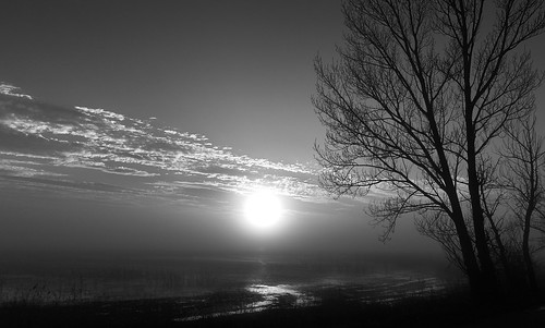 sunset sky blackandwhite bw lake blur tree nature fog landscape geotagged noiretblanc outdoor nopeople shore landschaft baum xf schwarzweis geo:lat=4781891817 geo:lon=1679572998 xp107735v2
