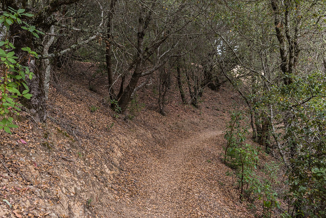 Ridge Trail