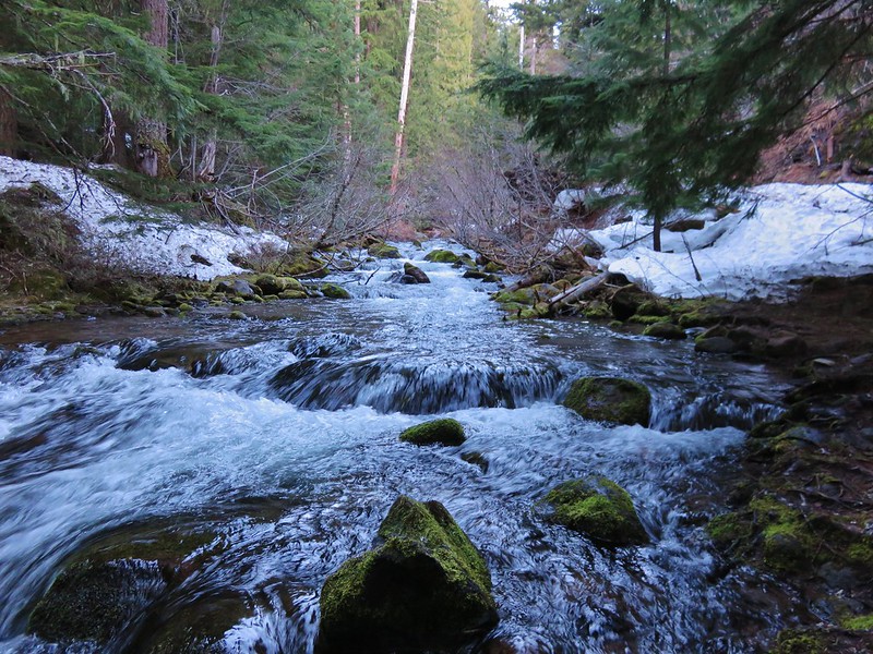 Cold Spring Creek