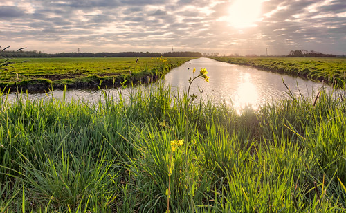 canal grassland polder hss middendelfland nederlandvandaag sliderssunday
