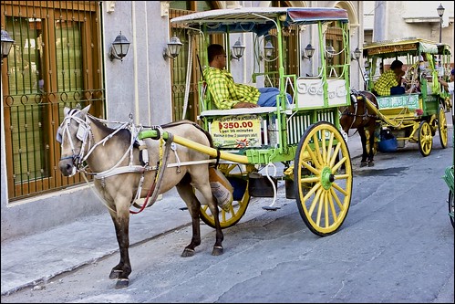 street nyc horse cherry carriage philippines wife tagudin dolphy earldolphy litratisticaimages