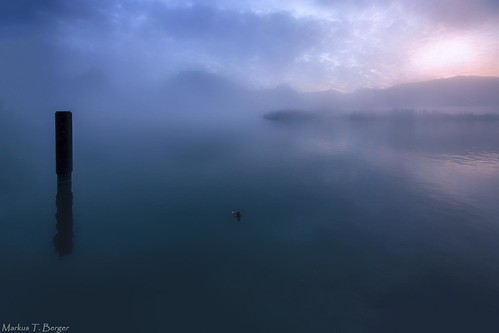 lake fog landscape see nebel foggy silence wolfgangsee stwolfgang mtberger