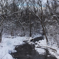 More BRRRR. #pickerington #Ohio #columbusohio #winter #snow