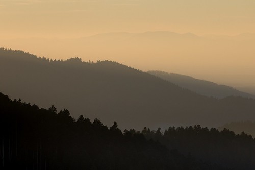 trees sky sun mountains monochrome forest germany landscape deutschland sundown outdoor atmosphere minimal freiburg blackforest