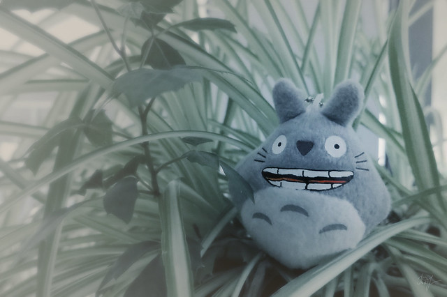 Day #46: totoro waiting for the end of February