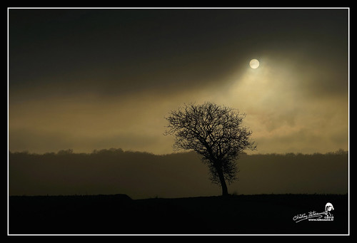 france paysages brouillard 2015 châtillonnais bourgognecôtedor moitron chatillonsurseine21400 christianlabeaune