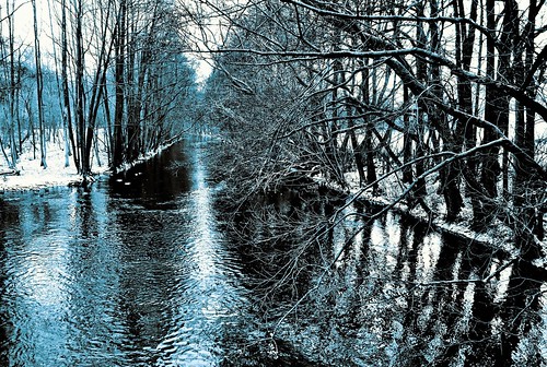 schnee winter snow tree monochrome forest river fluss wald reflexion spiegelung baum schwentine olympusem10 oppendorfermühle