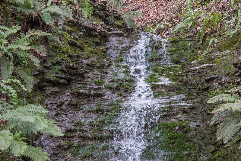 Waterfall Ironbridge Benthall Edge