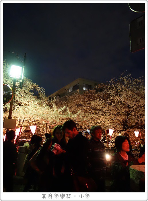 【日本東京】2015賞櫻之旅Day1 關東第一賞櫻名所目黑川/夜櫻 @魚樂分享誌