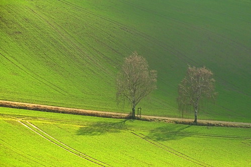 road trees winter light shadow green nature germany deutschland countryside hessen view path fields hesse