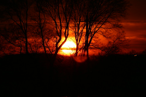 sunset sky sun tree silhouette wisconsin wi jeffersoncounty