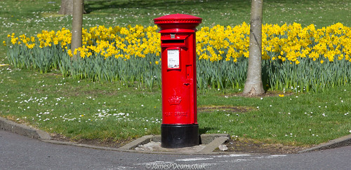 bathgate postbox landscape plants gb westlothian red daffodils colour britain spring unitedkingdom nature scotland lothian europe uk season