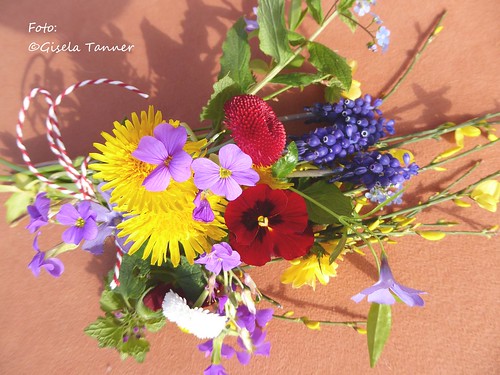 Flowerpowerbloggers - Blumen am Wegesrand