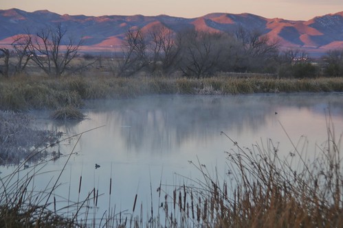winter arizona birds sunrise wildlife wetland sandhillcrane 2016 cochisecounty whitewaterdraw