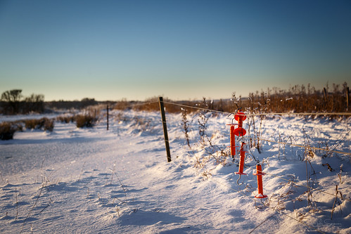 winter snow cold color field denmark danmark aalborg jylland nordjylland canon24105mmf4lis canoneos6d