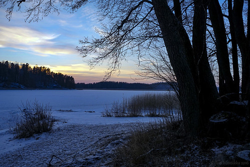 winter snow ice nature woodland suomi finland landscape seaside afternoon view outdoor dusk january piikkiö