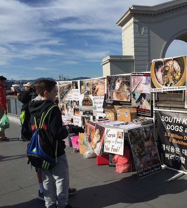 Leafleting and Informational Event on South Korean Dog Meat Trade – February 6, 2016 – San Francisco, Fisherman’s Wharf