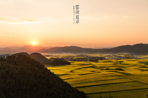 china travel sunset flower yellow spring nikon asia farmland yunnan 日落 canola 中國 rapeseed 油菜花 luoping 雲南 羅平 金鸡峰丛