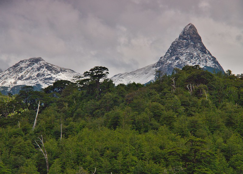 Ruta Austral: De La Junta a Puerto Aysén - Por el sur del mundo. CHILE (24)