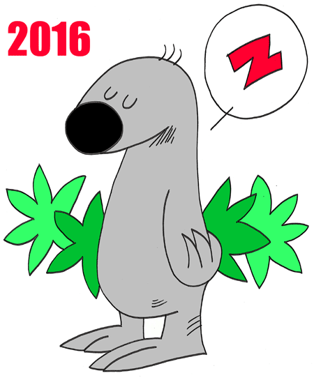 Year of the Sloth