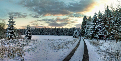 travel winter snow nature forest landscape czechrepublic mobilephonephotography highlandsregion žďárskévrchy xperiago blatky visitczechrepublic