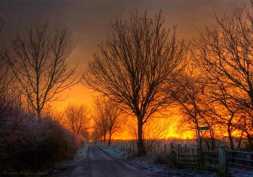 uk trees winter red england colour english nature rural sunrise fence landscape gold dawn countryside nikon scenery gate frost natural northamptonshire january earlymorning peaceful frosty gateway serene countrylane tranquil hdr contrejour newton backlighting midlands hedgerow eastmidlands 2016 grangeroad tonemapped geddington d7200