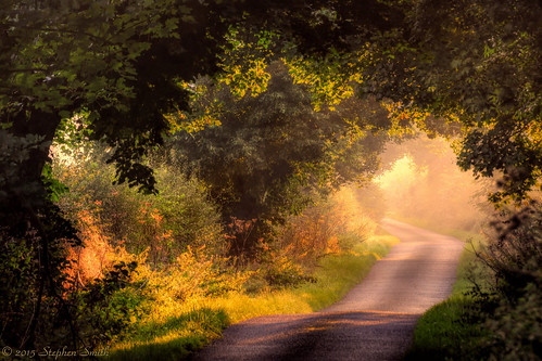 uk morning pink autumn trees light england sunlight mist colour tree english nature beauty yellow misty rural landscape nikon scenery warm soft glow natural northamptonshire earlymorning september countrylane tranquil hdr midlands eastmidlands 2015 hedgerows grangeroad geddington scerene d7200