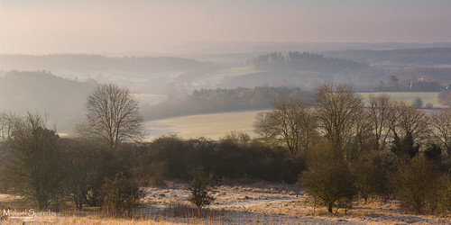 uk trees england mist sunrise downs landscape frost north surrey hills rolling