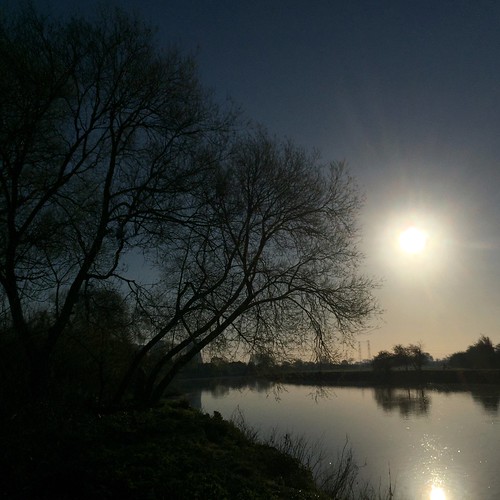 trees shadow reflection water sunrise derbyshire rivertrent willington 366 scottsimpson iphone6