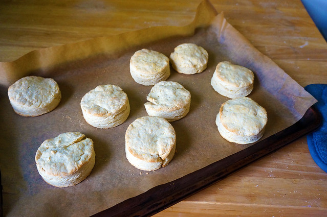 The same biscuits as before, now cooked and separating into flaky layers, their tops lightly browned