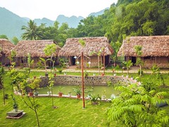 ninh bonh - tam coc rice field resort
