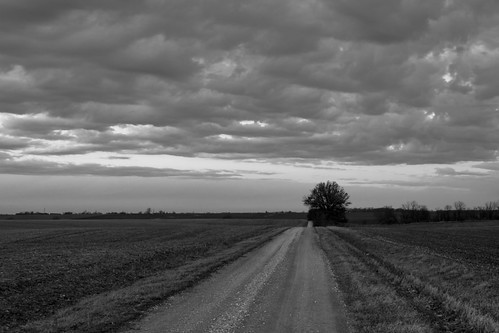 bw us illinois unitedstates cloudy windy countryroad wideopen newberlin gardnertownship