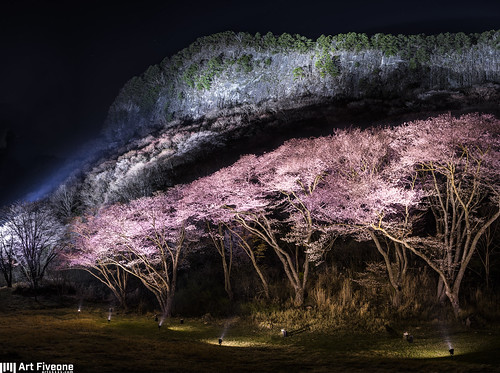 leica japan night landscape spring nightscape nightshot summicron 桜 cherryblossom 日本 sakura nightview nara 夜景 風景 soni 奈良 春 屏風岩 曽爾村 byoubuiwa