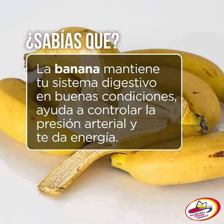 La #Banana mantiene tu sistema digestivo en buenas condiciones, ayuda a controlar la presión arterial y te da energía.