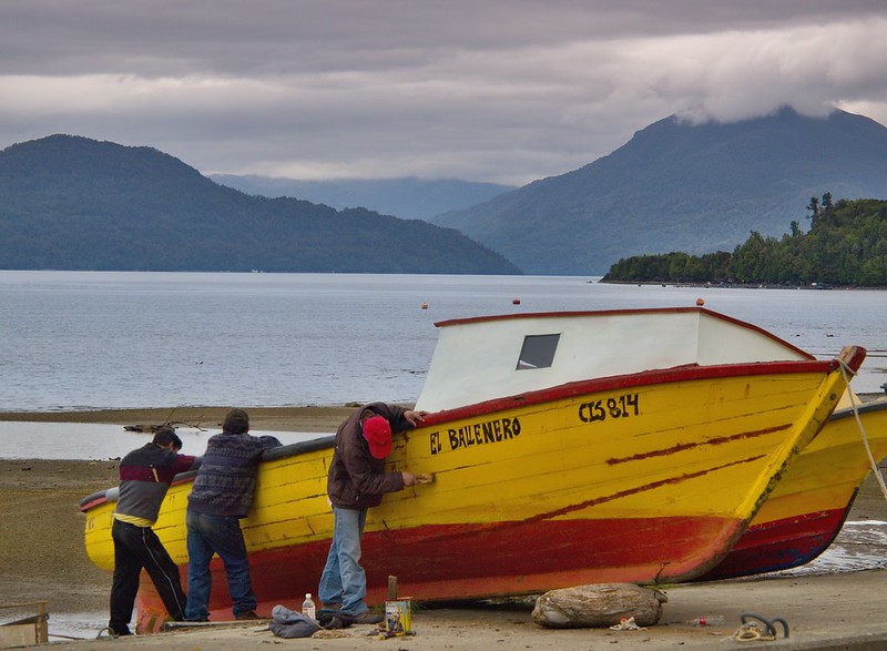 Ruta Austral: De Puerto Aysén a Puyuhuapi. Puerto Cisnes. Bosque encantado - Por el sur del mundo. CHILE (10)
