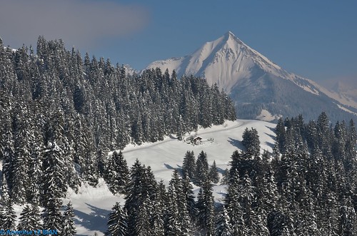 sunshine suisse vert damn blanc paysages chalets montagnes coth picchaussy coth5 neigeetglace lalé́cherette