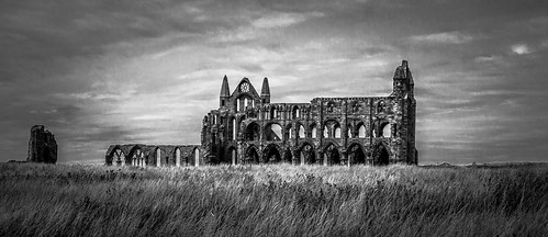 abbey ruins yorkshire whitby