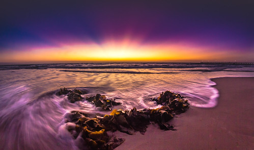 ocean sunset seascape seaweed beach water jetty australia fisheye adelaide 8mm southaustralia portnoarlunga samyang