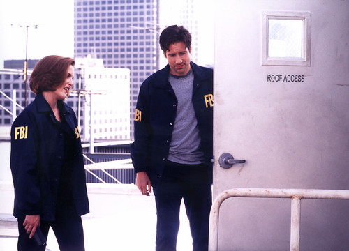 The X-Files - Fight the Future - screenshot 1