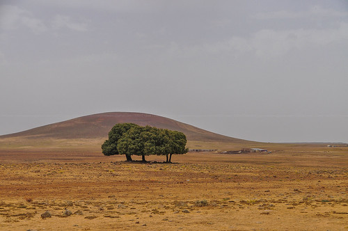 meknestafilalet morocco ma outdoor landscape dune jose constantino josé atlas nomad desert joséconstantino nikon