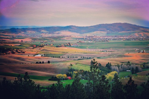 pink sunset mountains green landscape spring colorful view purple moscow hills idaho farms pnw panhandle palouse moscowmountain